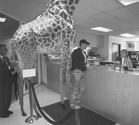 The Job Placement Center set up near the zoo's Jungle World exhibit has had no luck placing any of the animals that have come through looking for work. After a two-hour wait, this giraffe was told to brush up on her word processing skills and check back in two months.